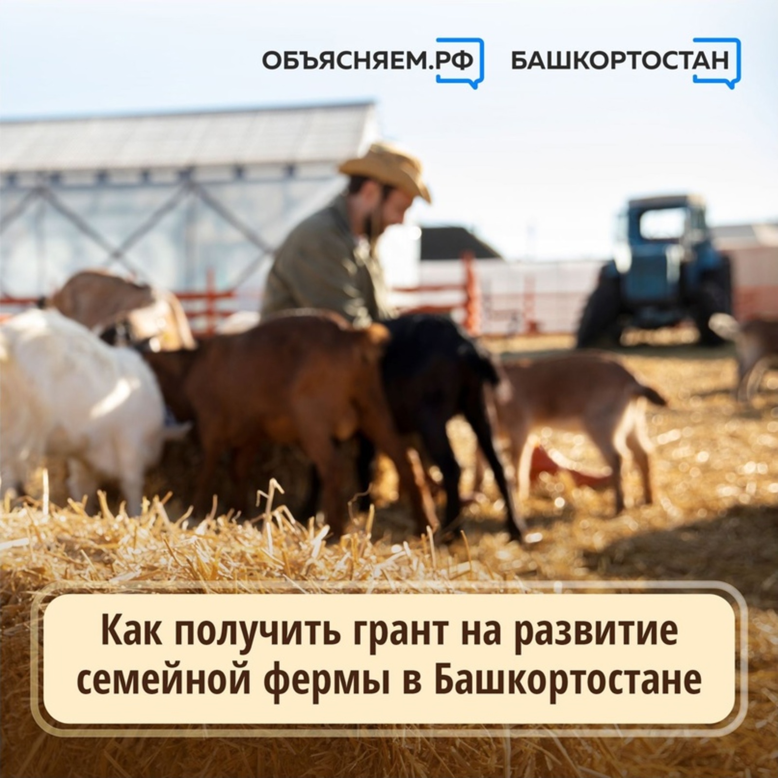 Крестьянские (фермерские) хозяйства Башкирии могут получить грант на развитие семейной фермы