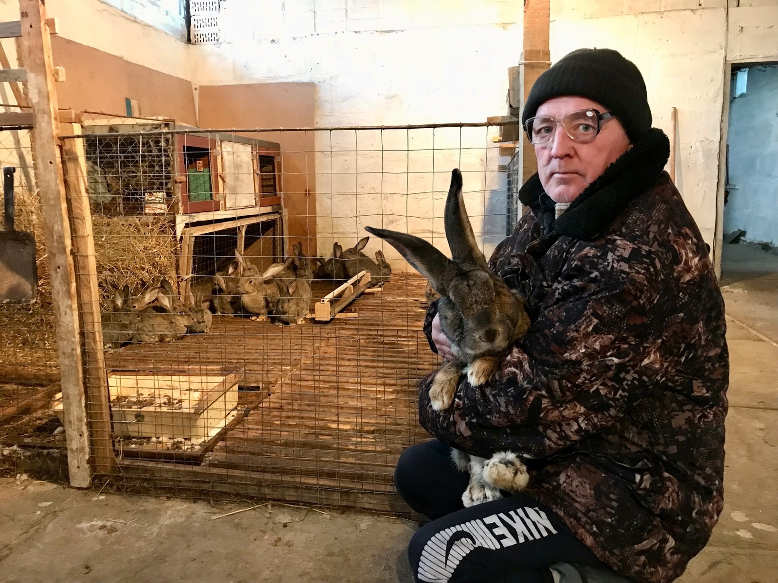 Для жителя Бирска Дамира Зарипова разведение кроликов—скорее хобби, нежели бизнес
