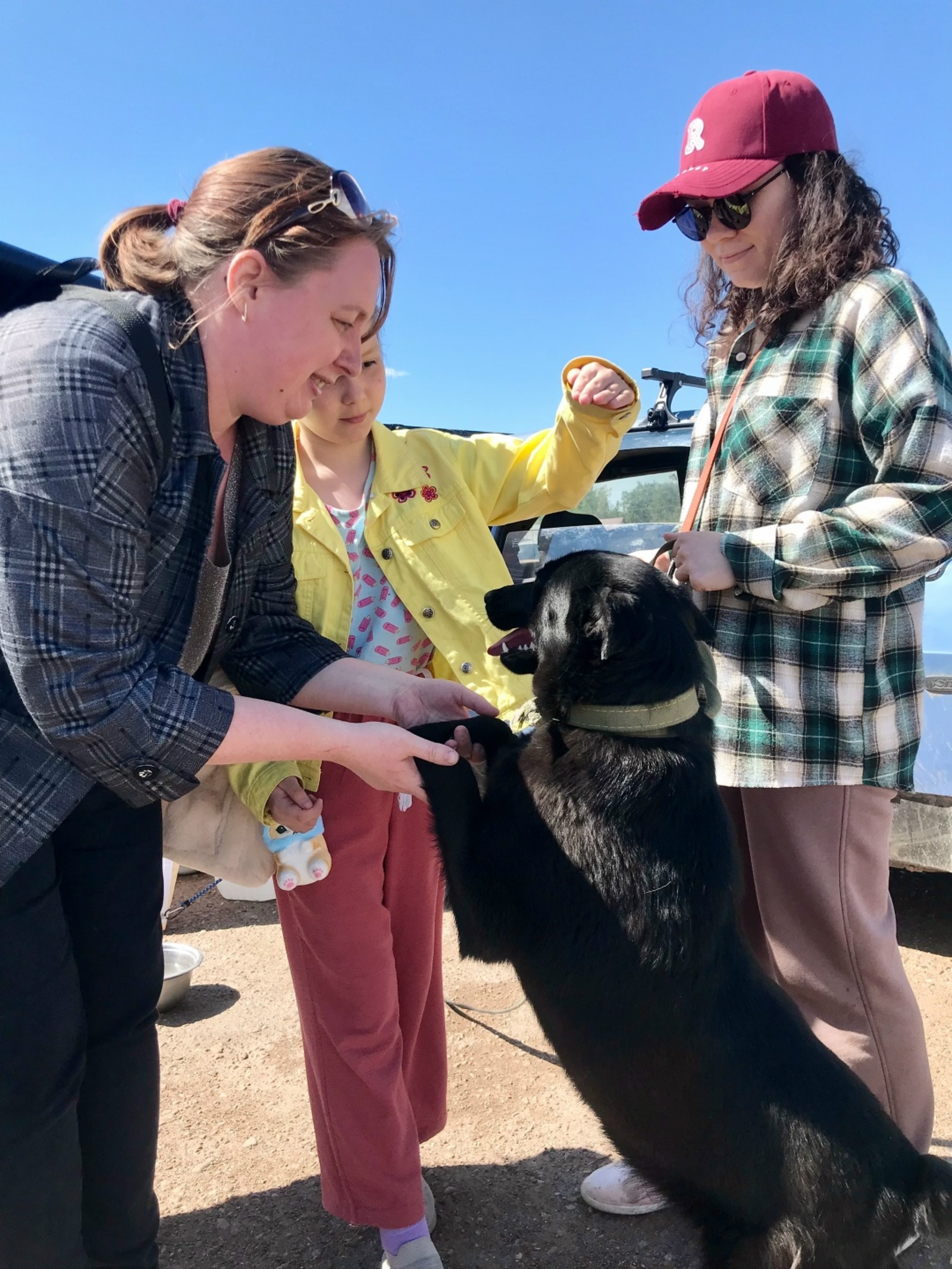 Фонд «Бирский Хатико» реализует проект по бесплатной стерилизации животных