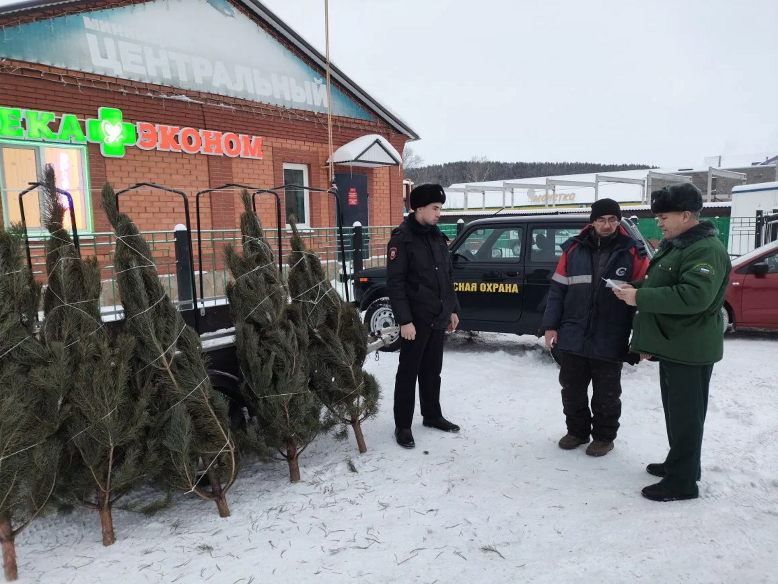 В Башкортостане подвели итоги ежегодной операции «Ель-2025»