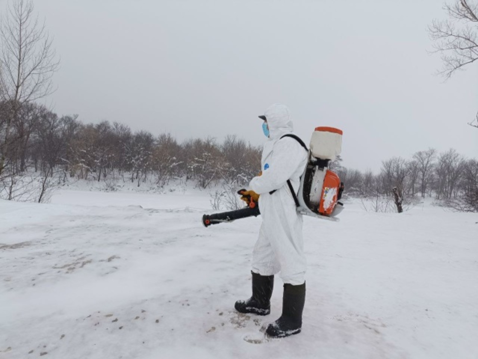 Бирская райгорветстанция провела дезинфекцию берега озера, где утонули животные