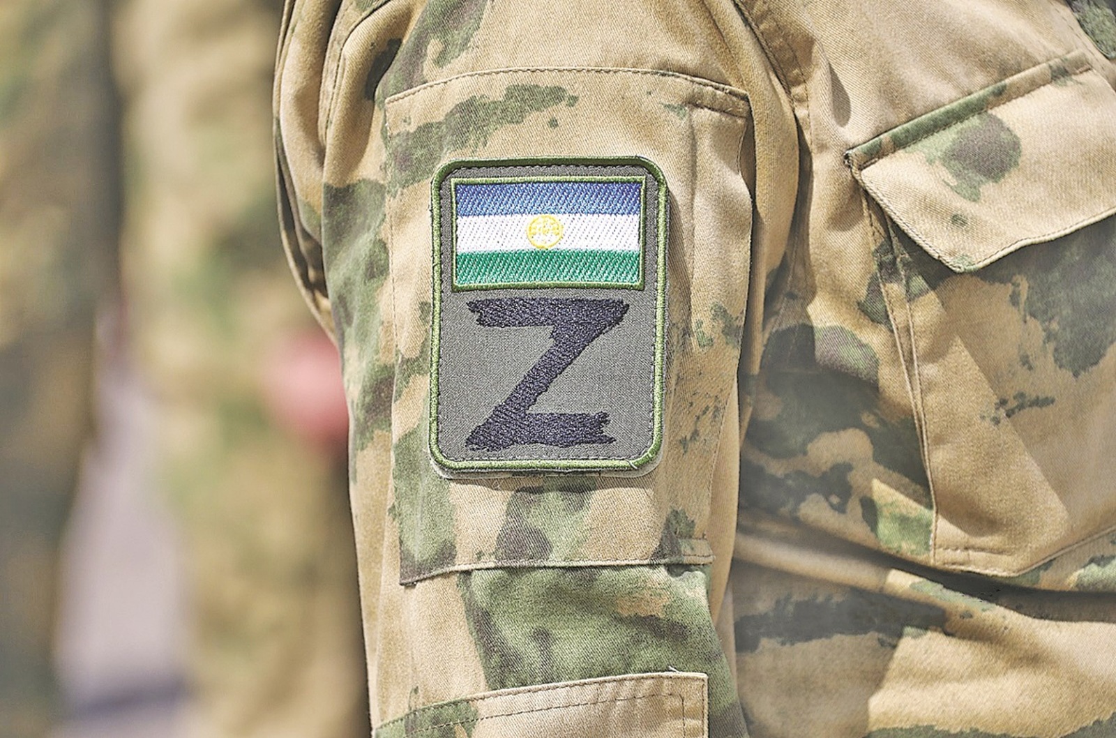 Минобороны России оценит эффективность мер поддержки участников СВО в регионах