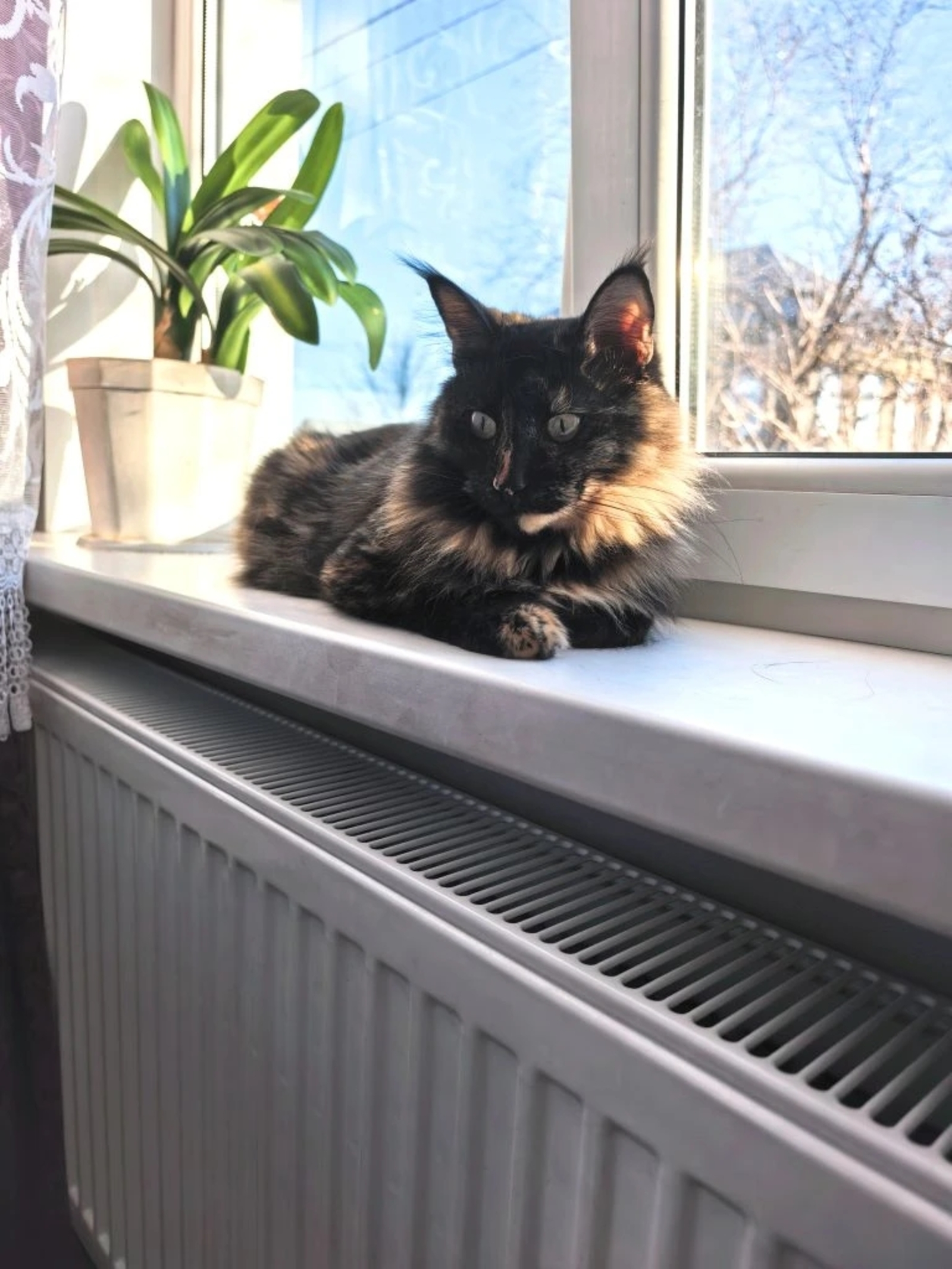 Отключения отопления в Бирском районе не ожидается