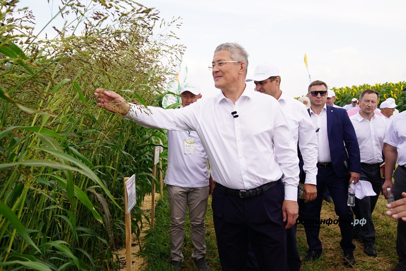 Радий Хабиров  прогнозирует  хороший  урожай зерновых