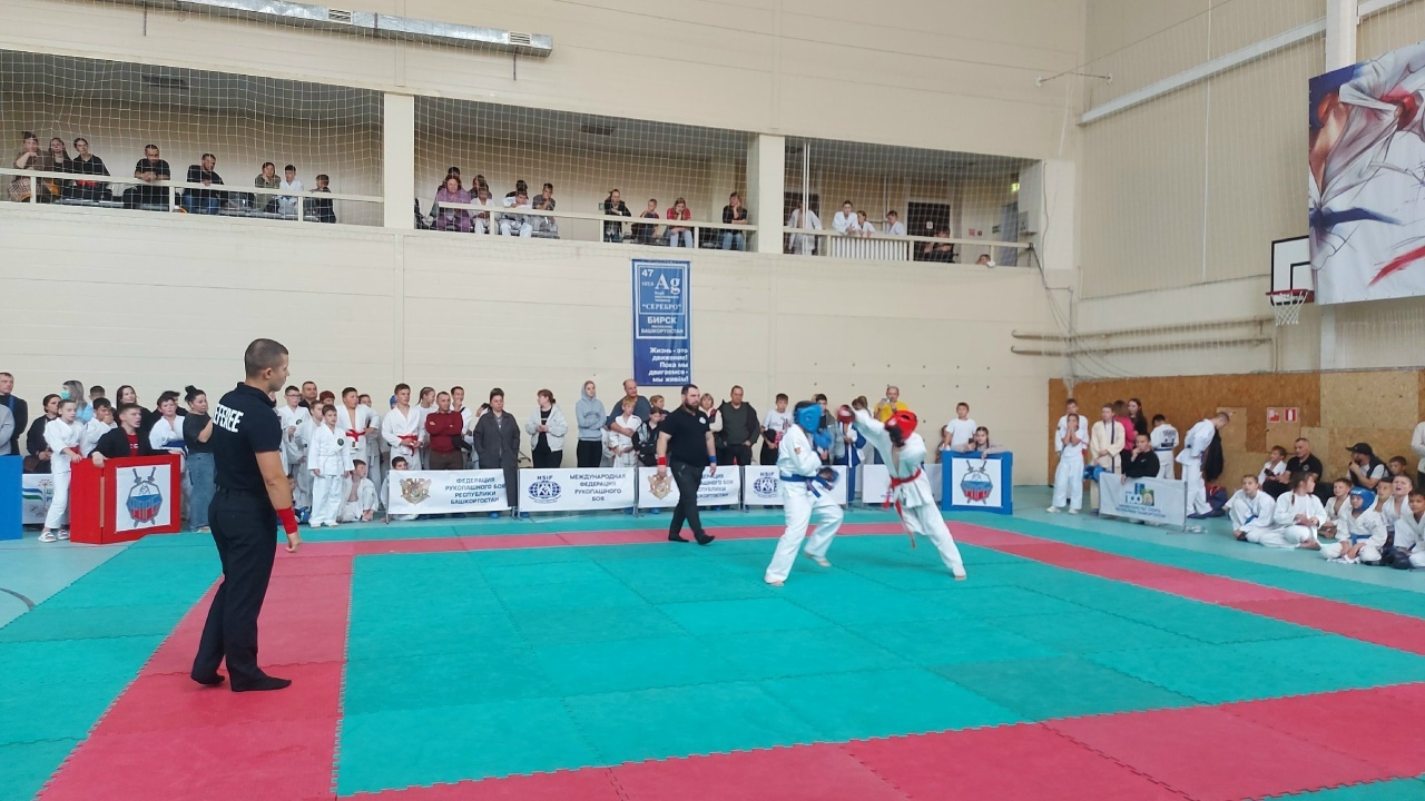 В Бирске прошел Кубке Республики Башкортостан по рукопашному бою