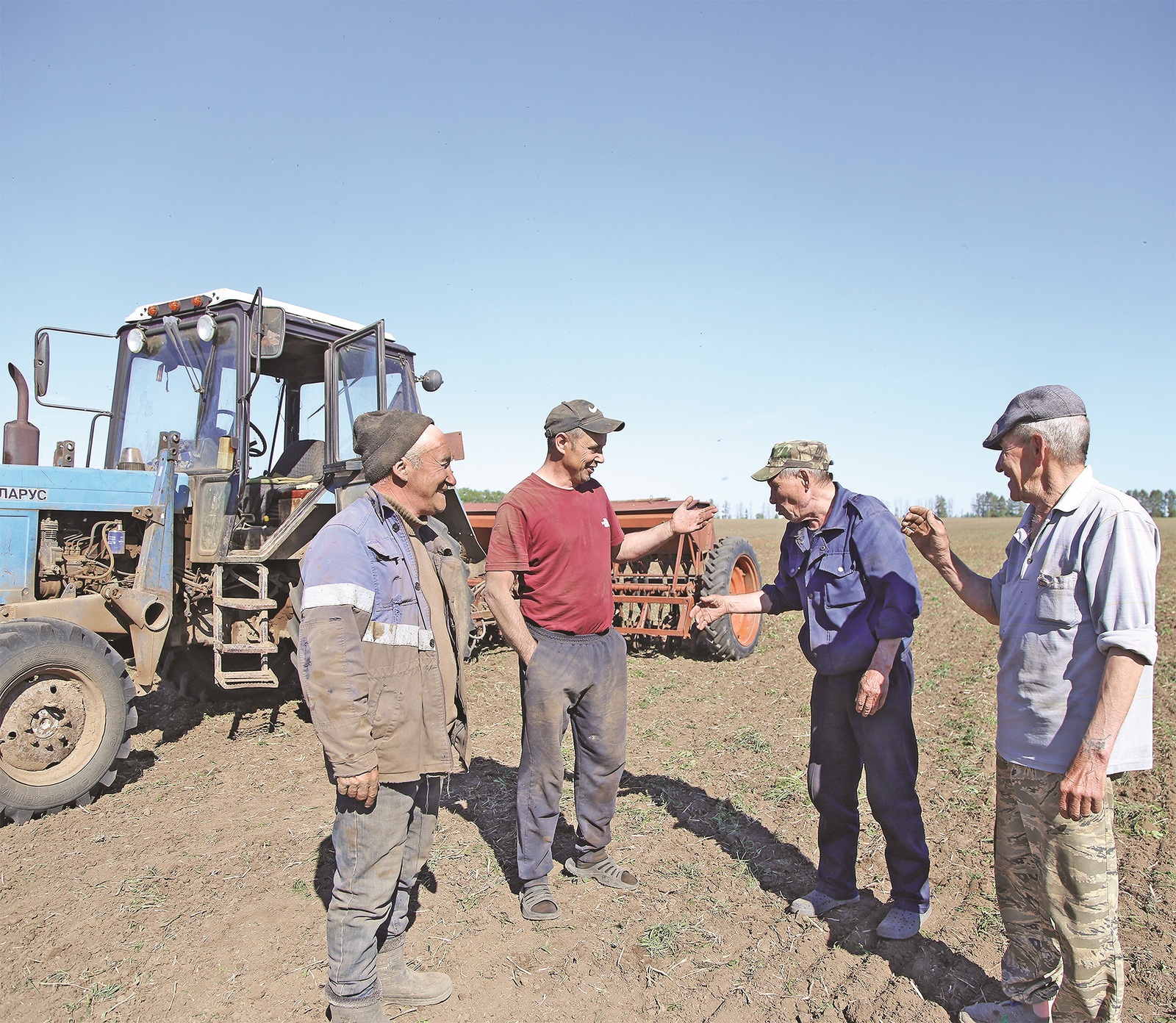 В Бирском районе сеют кормовые культуры