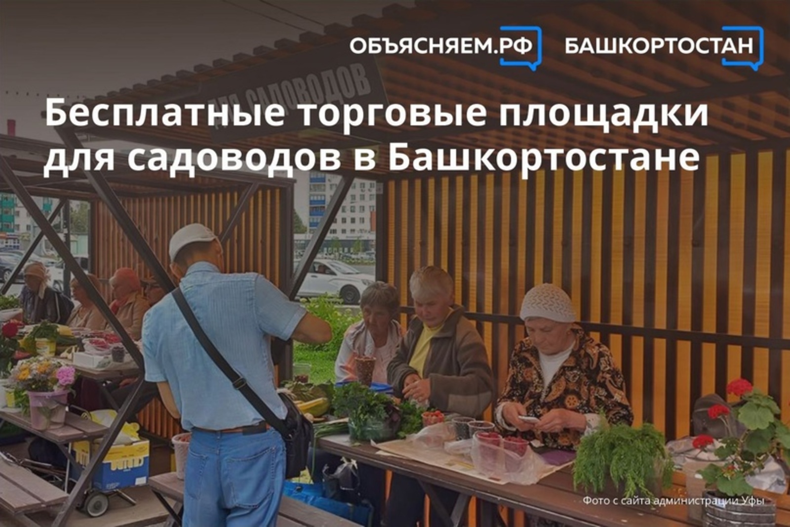 В Башкирии организовано свыше 3600 бесплатных торговых площадок для садоводов
