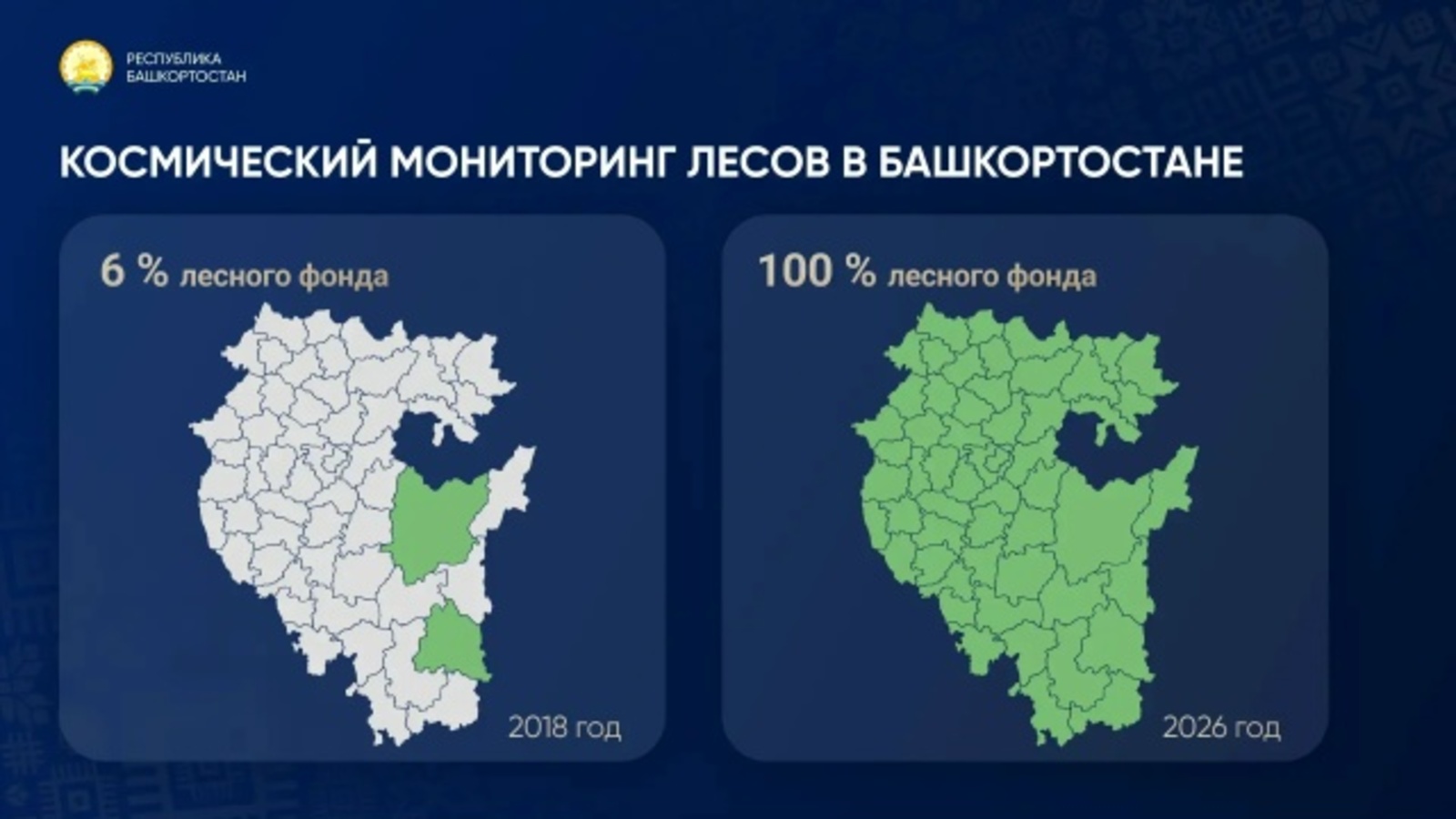 В Башкирии весь лесной фонд находится под космическим мониторингом