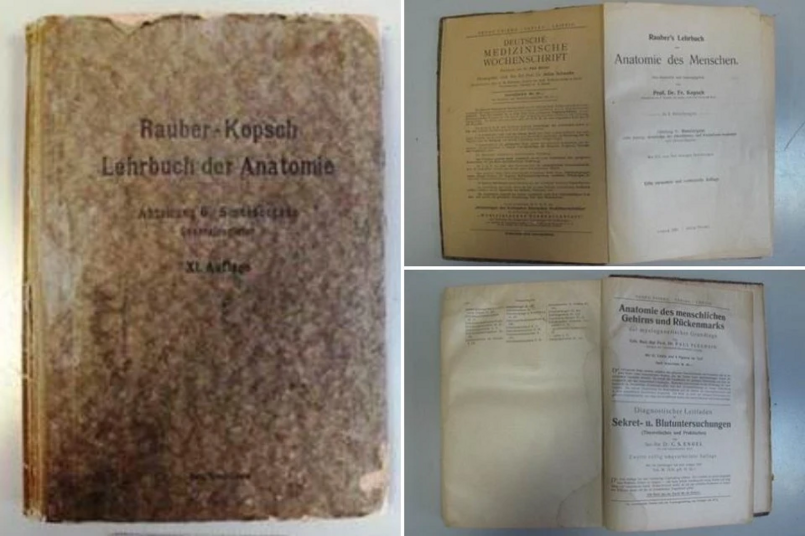 В аэропорту Уфы задержали пассажирку с подозрительным предметом в сумке