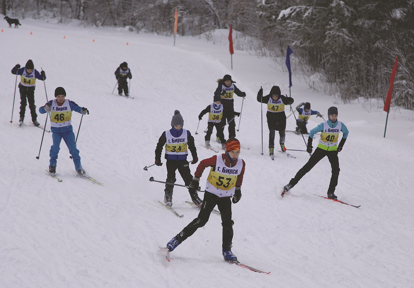 Рождественская лыжная гонка в Бирске собрала около 100 участников