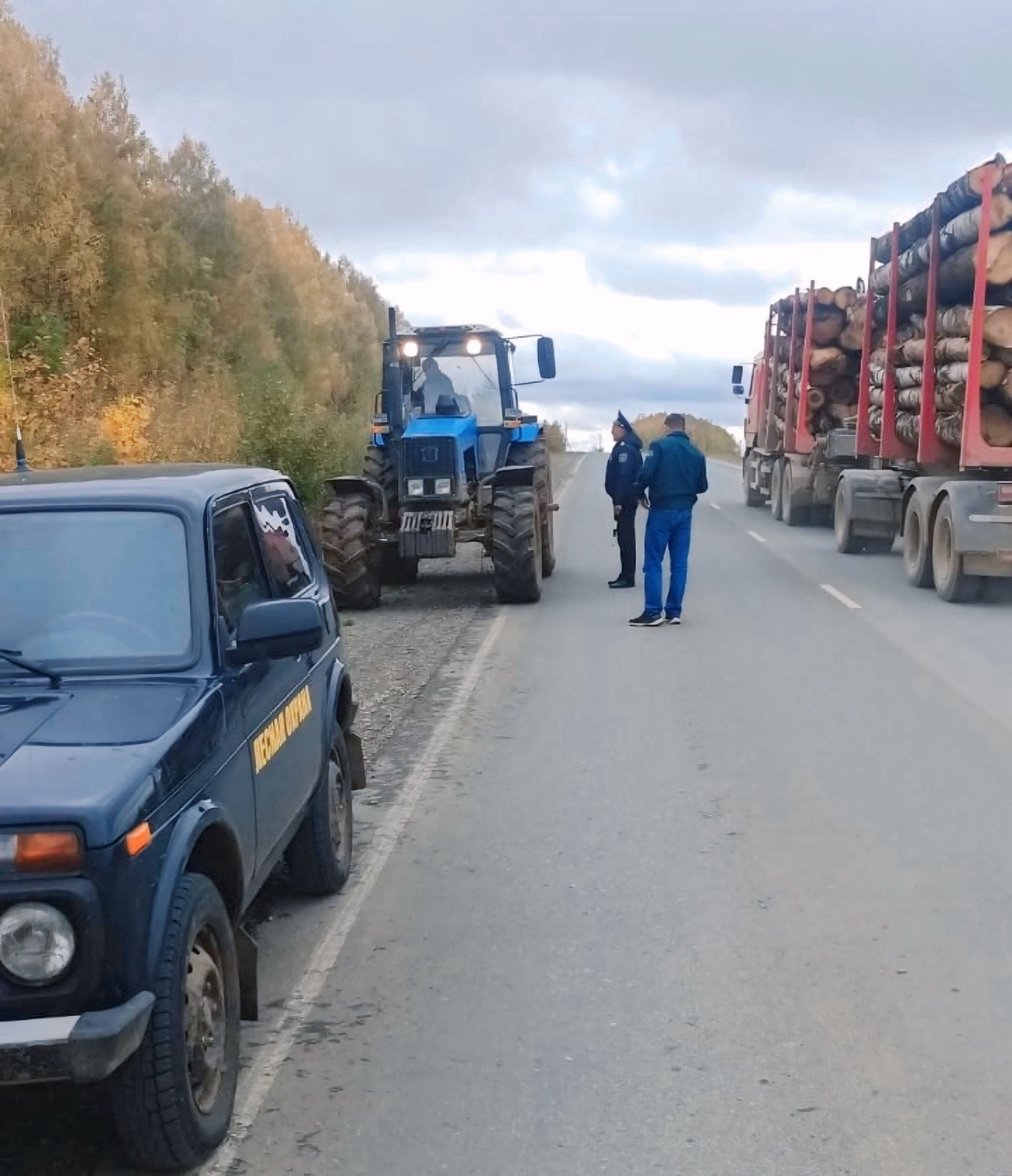 В Башкортостане подвели итоги операции «Лес»