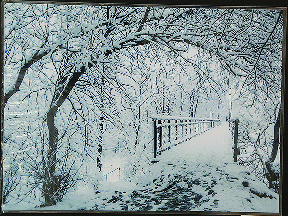 Бирск осияло волшебством светописи