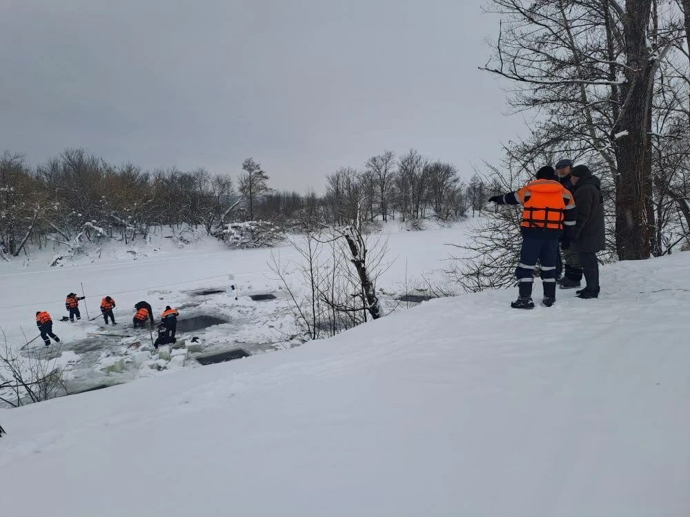 Больше 1250 утонувших овец достали из озера в Башкирии