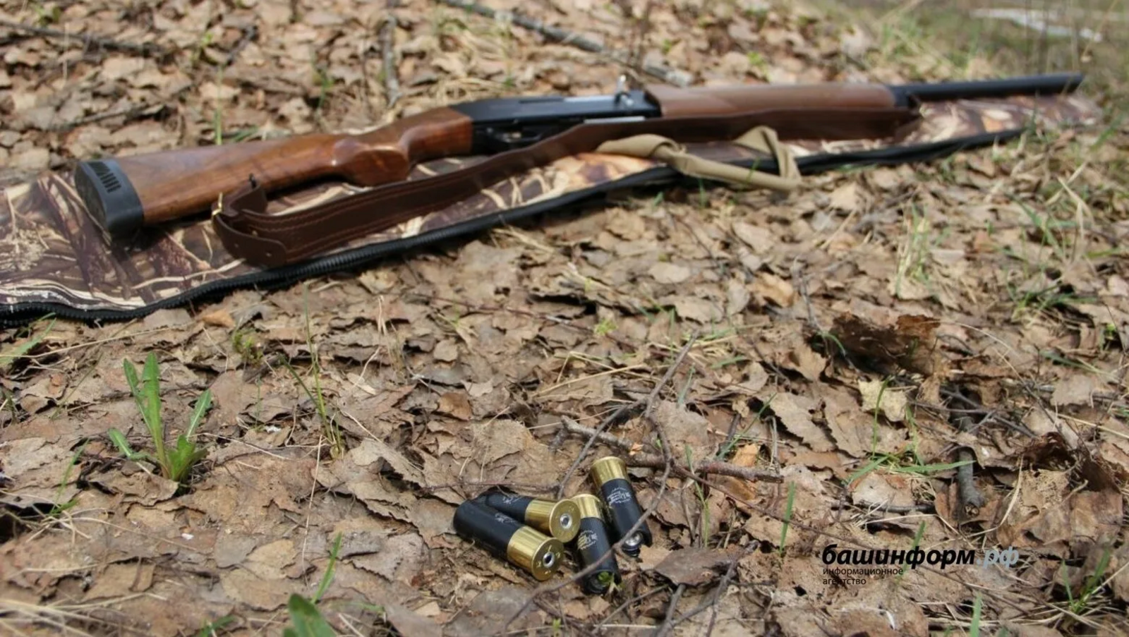 В Башкирии объявили о старте весенней охоты
