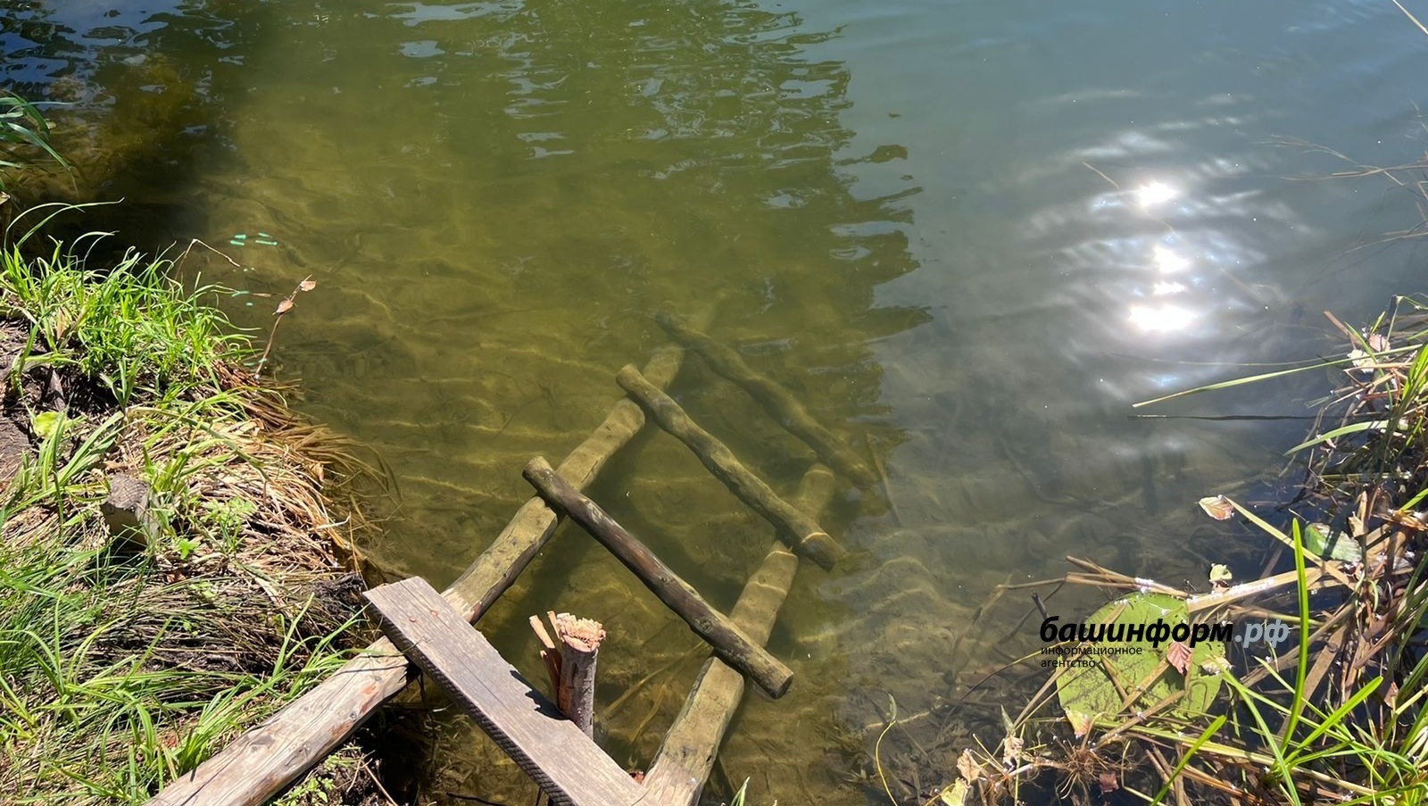 Житель Башкирии сломал руку, спасаясь от медведя на берегу реки Белой