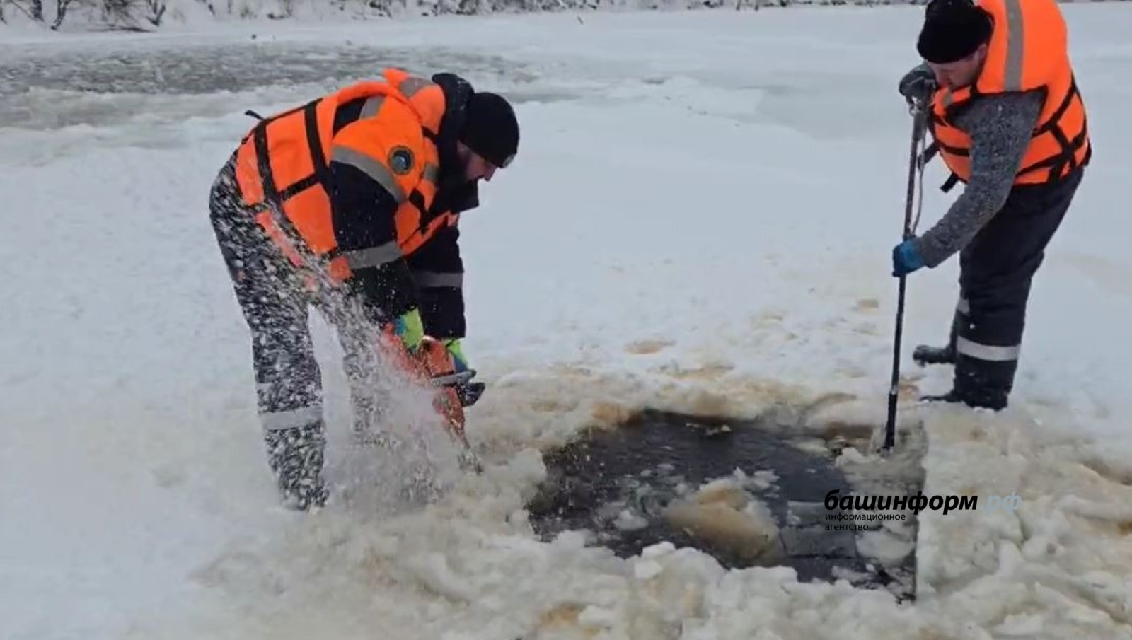 Выловленные из озера в Бирском районе туши овец утилизируются
