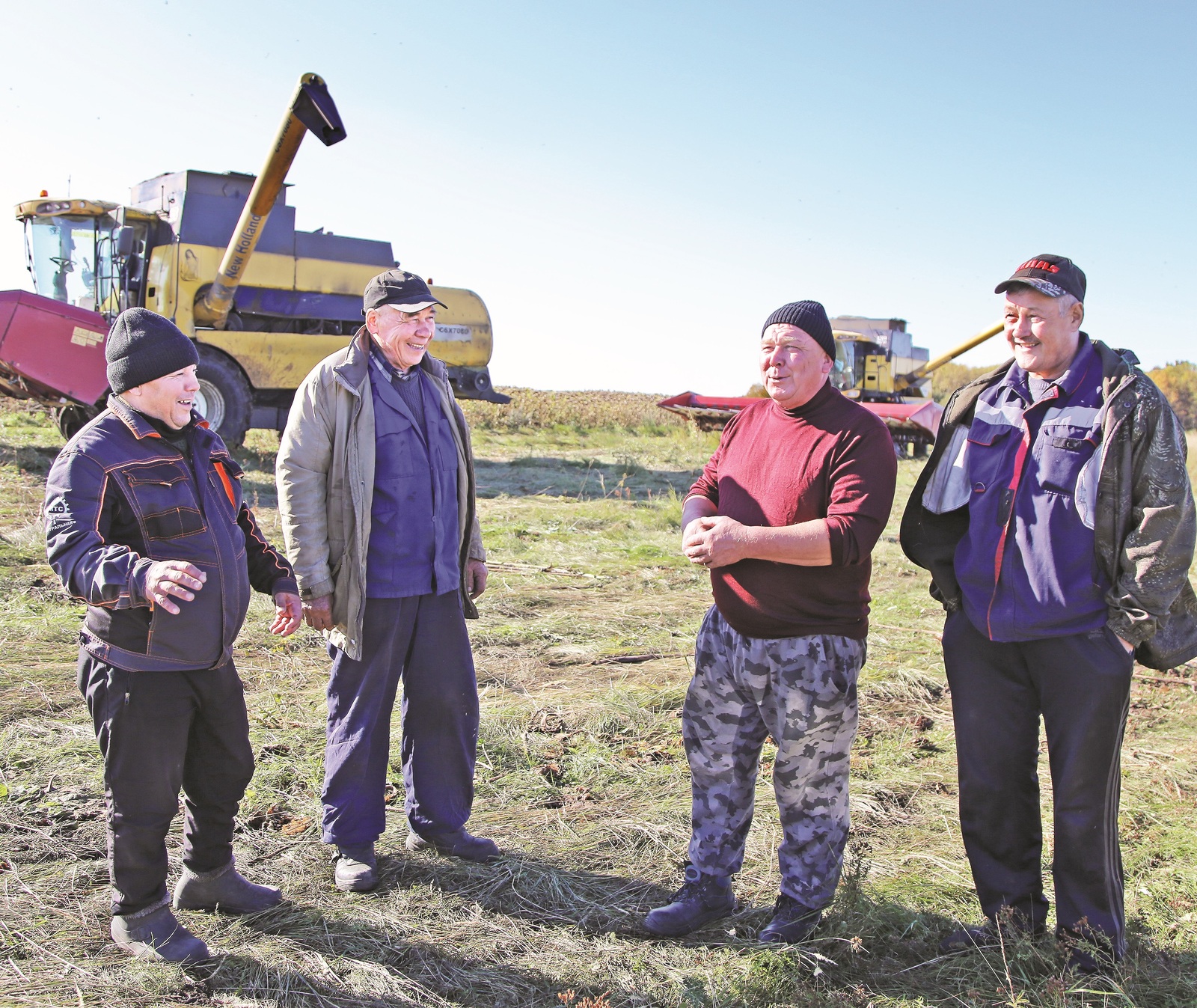 В Бирске с полей убирают подсолнечник