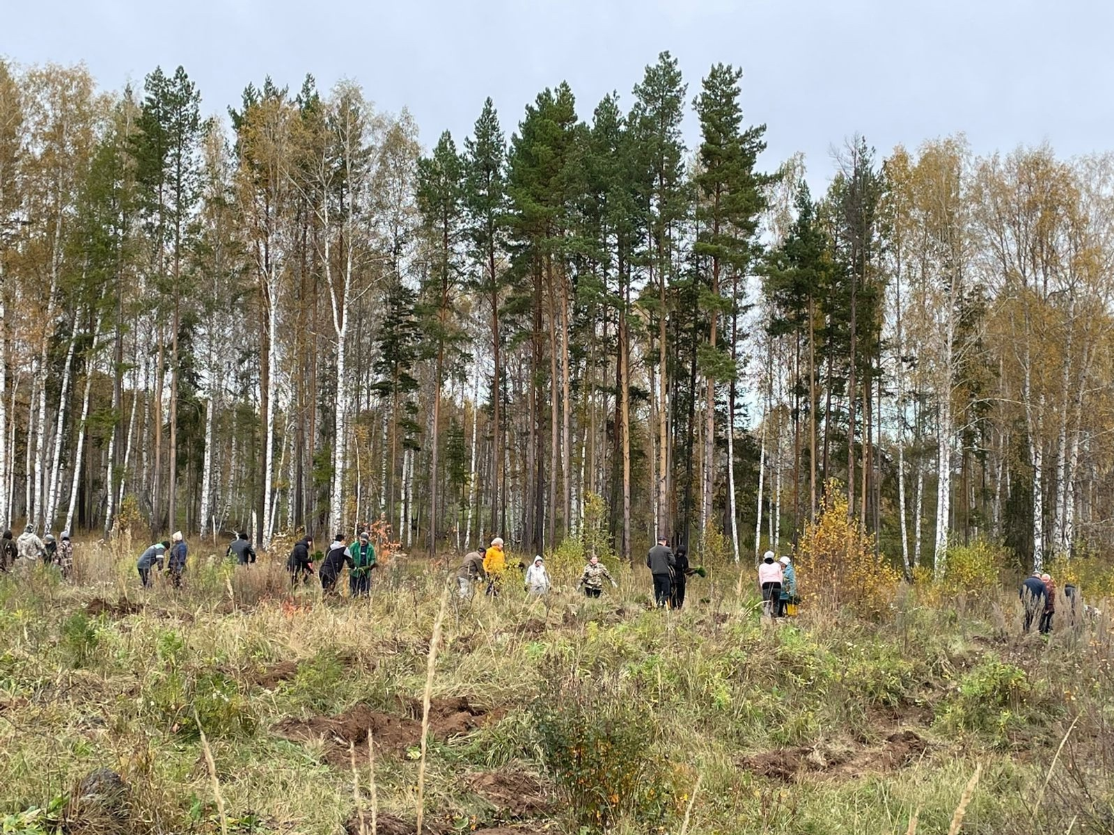 В Башкортостане продолжается акция «Сохраним лес»