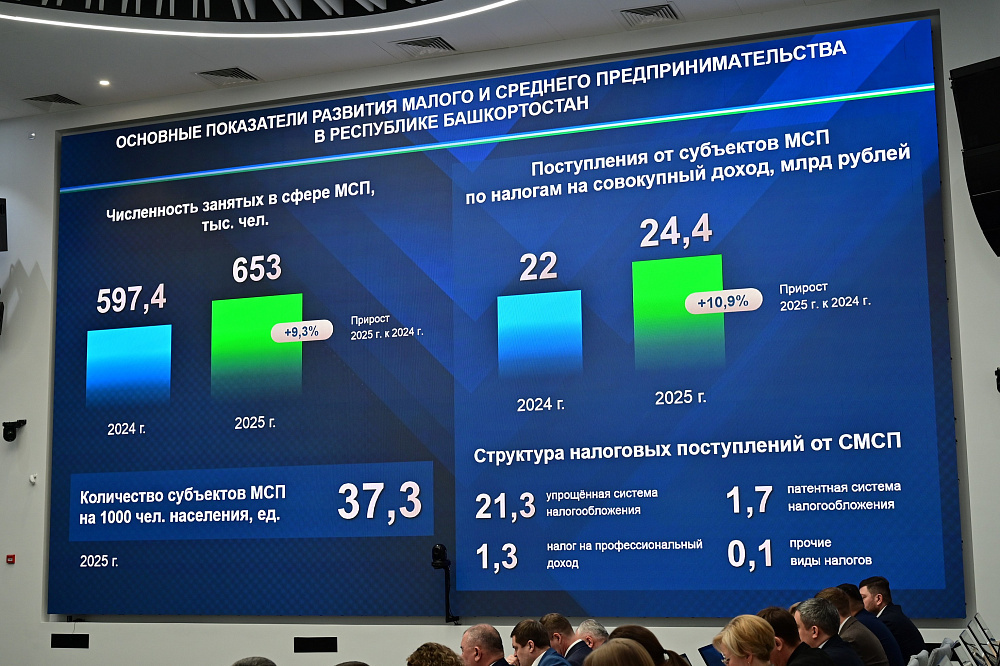Число самозанятых в Башкирии за 2025 год выросло более чем на 30 процентов