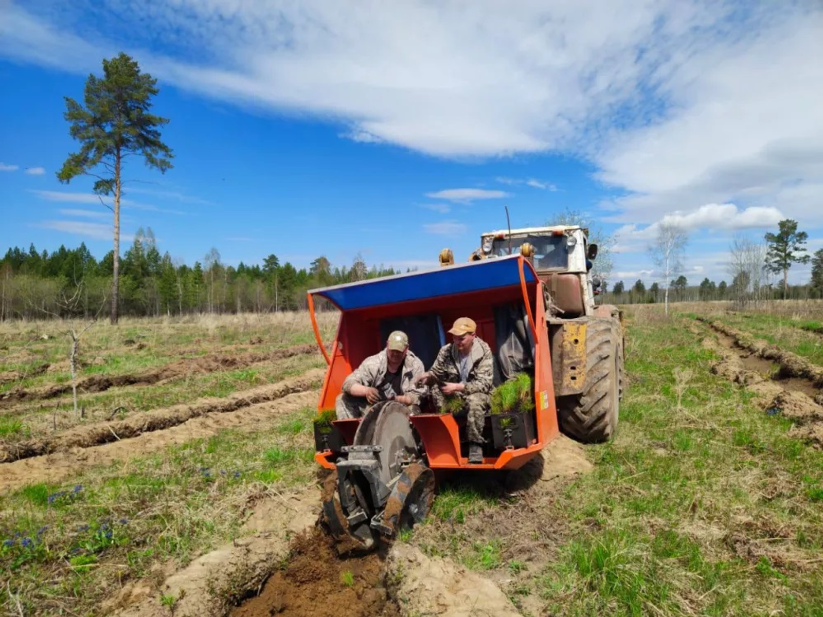 В РБ перевыполнен ключевой показатель федерального проекта «Сохранение лесов»
