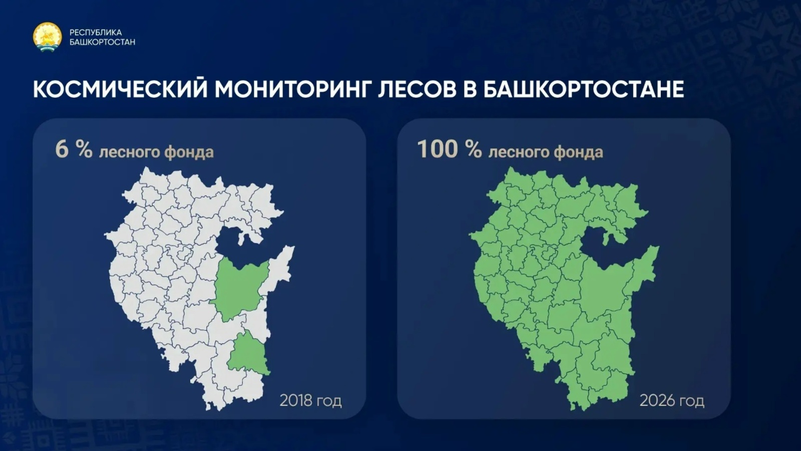 В Башкирии 100 % леса находится под космическим мониторингом