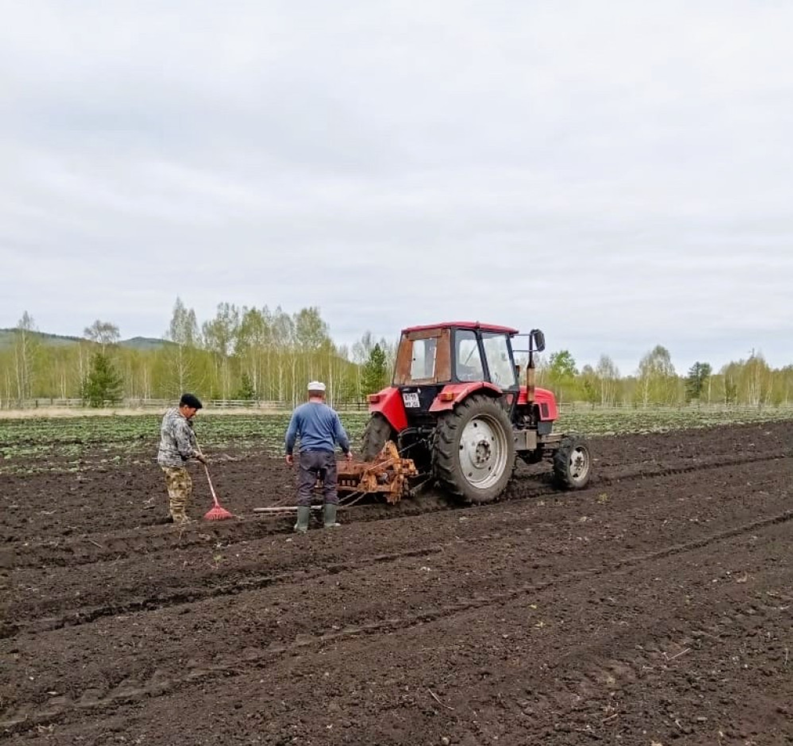 В Бирском лесхозе провели посев семян на 1,5 га